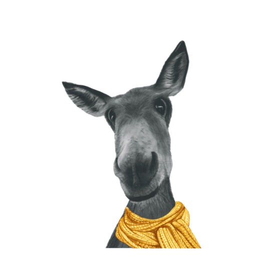 Winter Donkey Christmas Card – Wrapped in Sunshine and Warmth — card front