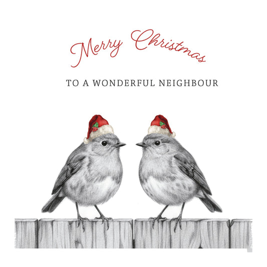 Wonderful Neighbour Robin Perch Christmas Card — card front