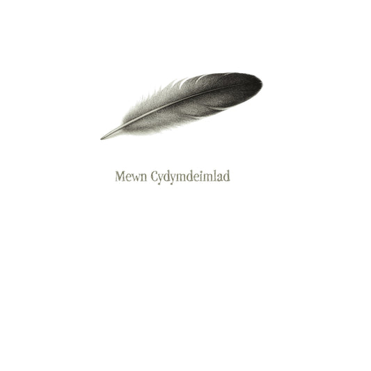 Welsh In Sympathy Feather Card — card front