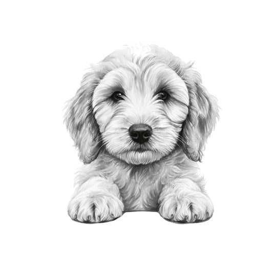 Peeking Cockerpoo – Hand-Drawn Greeting Card | Cute & Playful Dog Illustration — card front