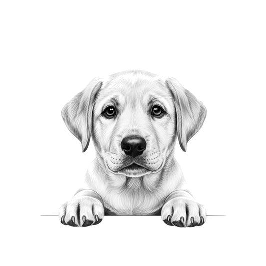 Peeking Labrador – Hand-Drawn Greeting Card | Cute & Playful Dog Illustration — card front