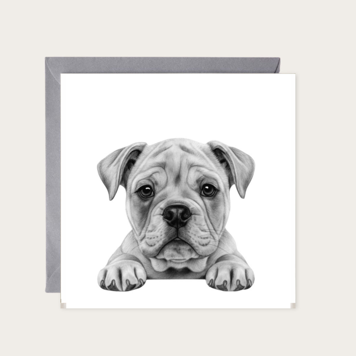 Peeking English Bulldog – Hand-Drawn Greeting Card | Cute & Playful Dog Illustration — card with grey envelope