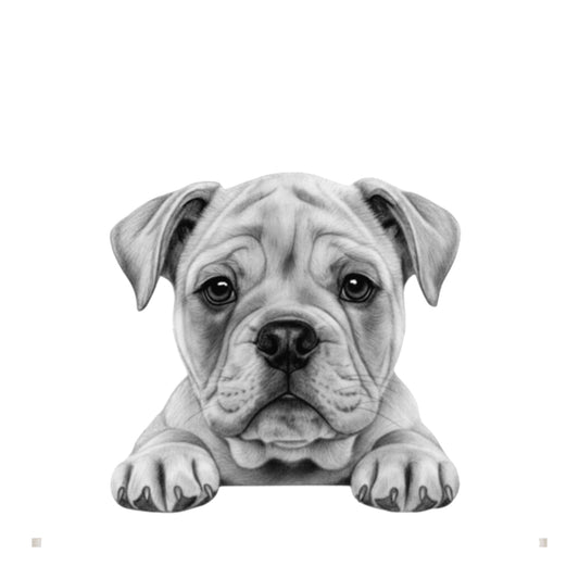Peeking English Bulldog – Hand-Drawn Greeting Card | Cute & Playful Dog Illustration — card front