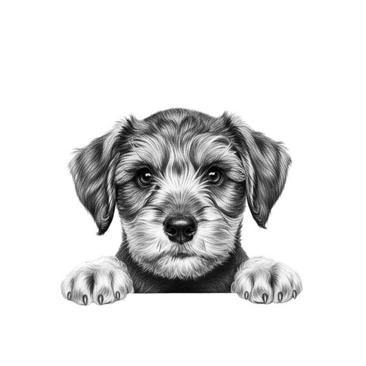 Peeking Schnauzer – Hand-Drawn Greeting Card | Cute & Playful Dog Illustration — card front