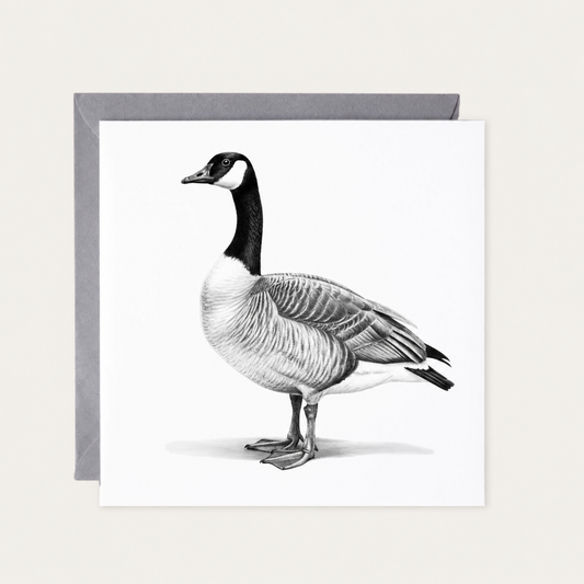 Canadian Goose Greeting Card — standard grey envelope mockup