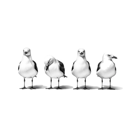 Four Seagulls Row Seaside Greeting Card — card front