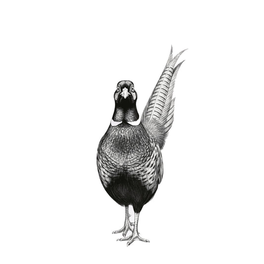 Han the Pheasant Greeting Card — card front