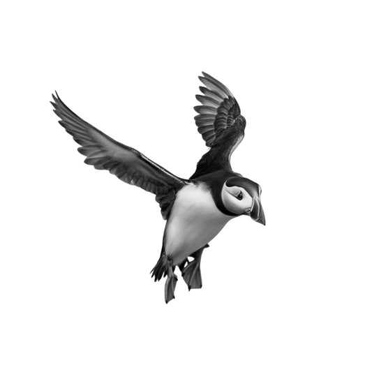Landing Puffin  – Coastal Greeting Card — card front