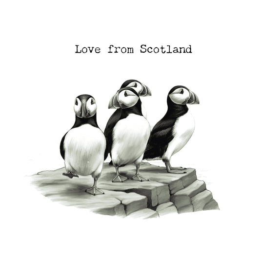 Love From Scotland Puffin Rock Greeting Card — card front