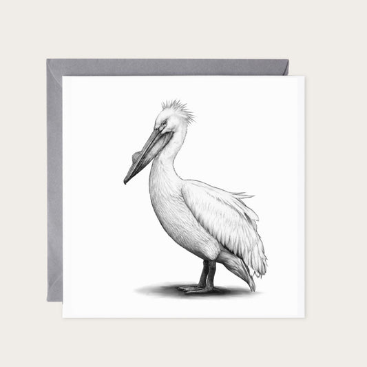 Pelican Bird Greeting Card — card with grey envelope