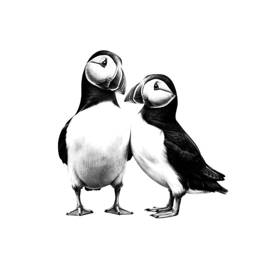 Puffin Love Greeting Card — card front