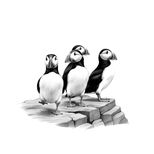 Puffin Rock – Coastal Greeting Card — card front