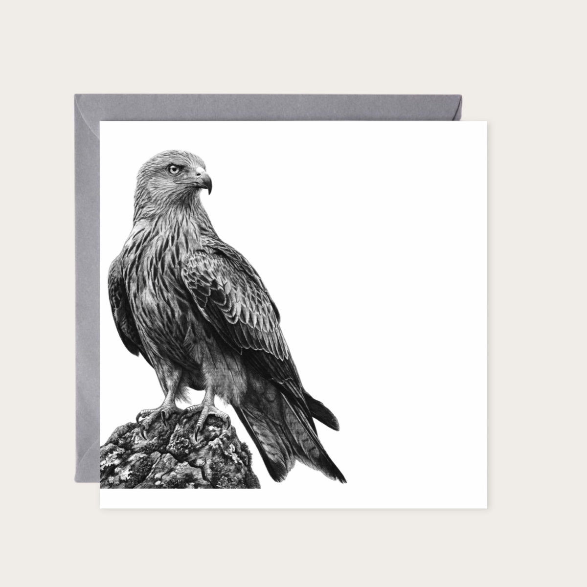 Red Kite – Hand-Drawn Greeting Card | Majestic Bird of Prey Art — card with grey envelope