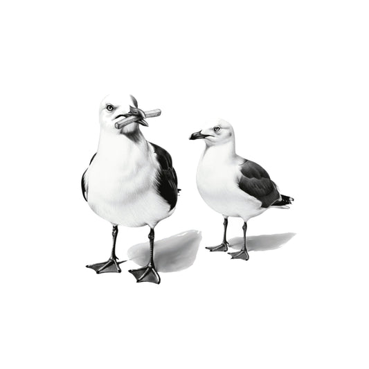 Seagull Chips Greeting Card — card front