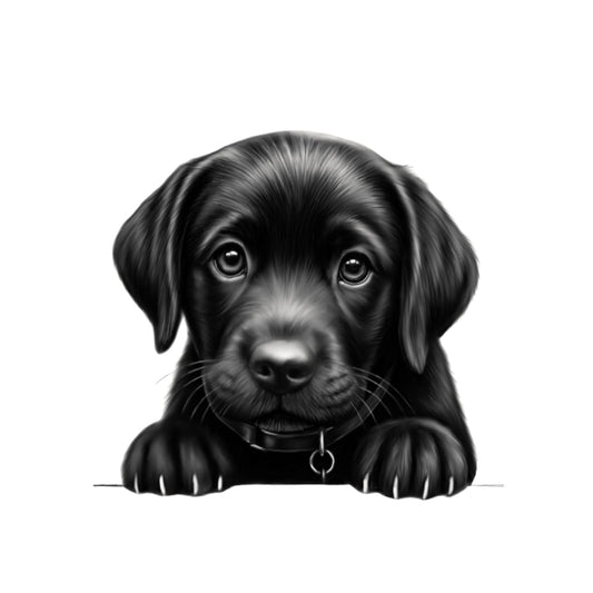 Peeking Labrador Puppy Greeting Card — card front