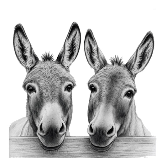 Two Donkeys Greeting Card — card front