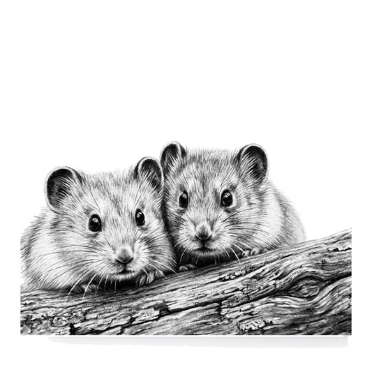 Two Little Field Mice – Hand-Drawn Cute Greeting Card — card front