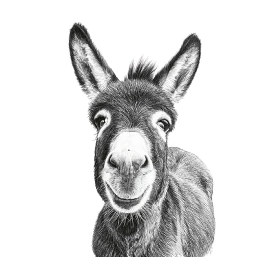 Nash the Donkey Hand Drawn Greeting Card — card front