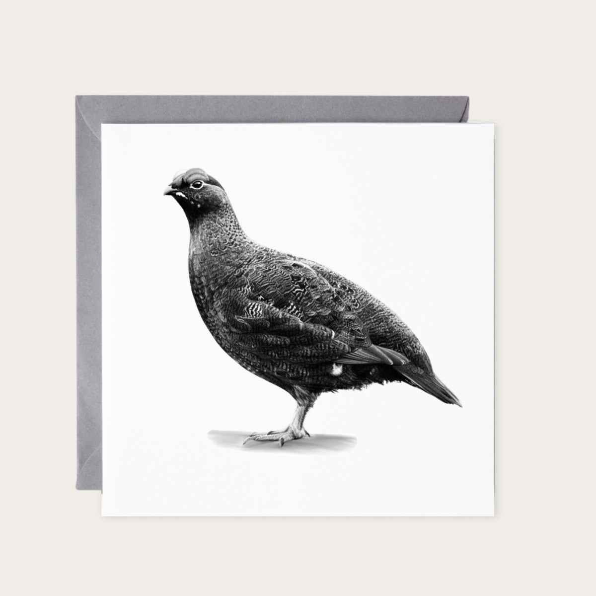 Red Grouse – British Wildlife Greeting Card (Copy) — card with grey envelope
