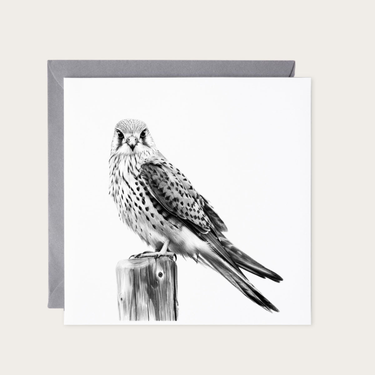 Kestrel Greeting Card | Hand-Drawn British Bird of Prey Illustration — card with grey envelope