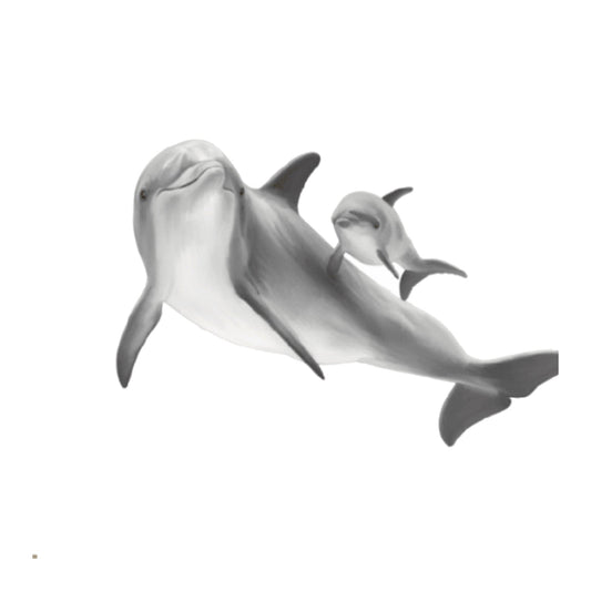 Dolphin Family – Dolphin & Calf Swimming Hand-Drawn Greeting Card — card front