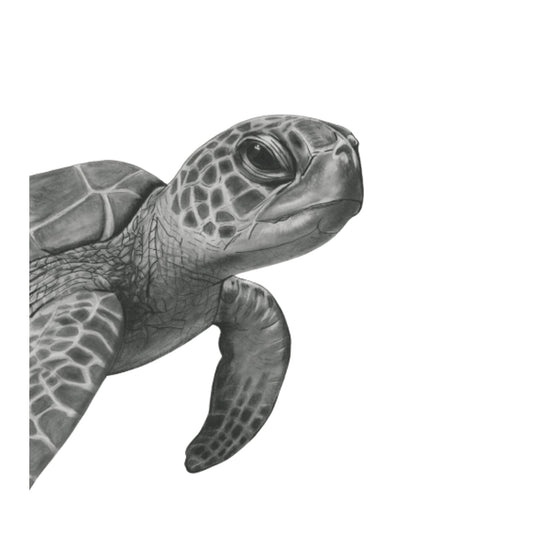 Heze the Turtle Hand-Drawn Greeting Card | Whimsical & Elegant Art — card front