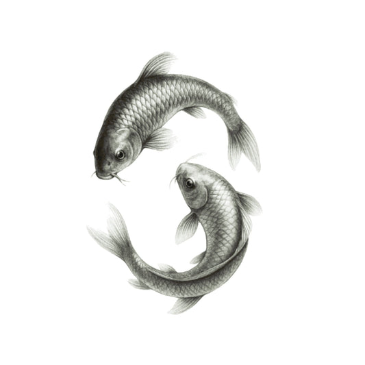 Koi Carp – Hand-Drawn Fine Art Greeting Card | River Life — card front