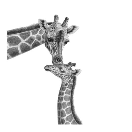 Standing Tall Mother and Baby Giraffe Greeting Card — card front