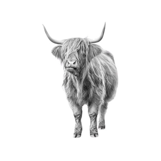 Major the Cow Hand Drawn Greeting Card — card front