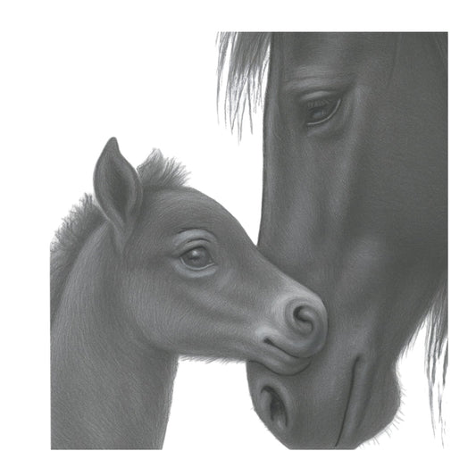 Stella and Nova Hand Drawn Greeting Card — card front