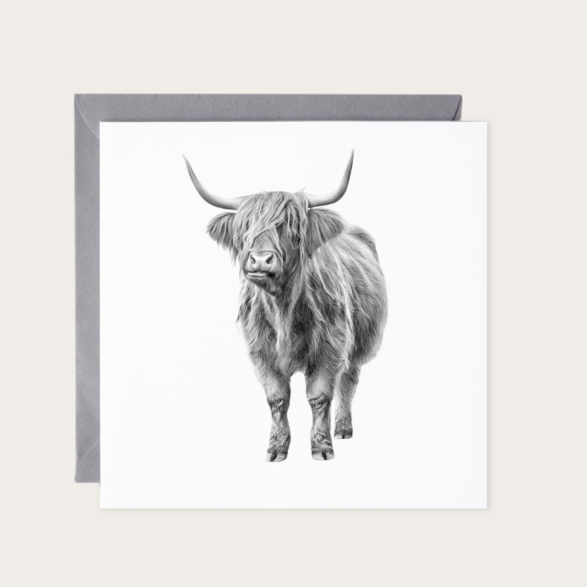 Major the Highland Cow Hand Drawn Greeting Card — card with grey envelope