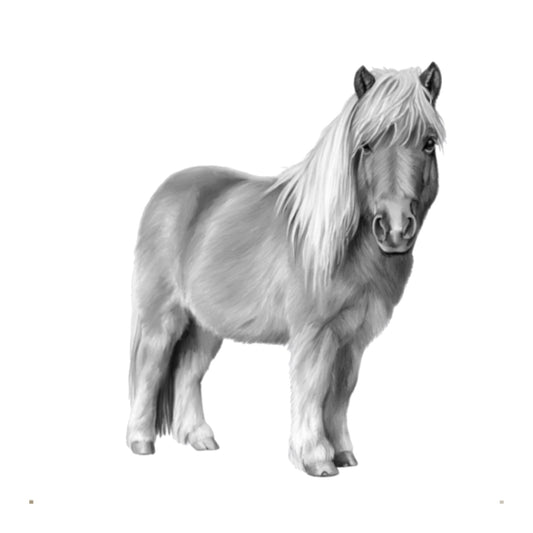 Shetland Pony Hand Drawn Greeting Card — card front