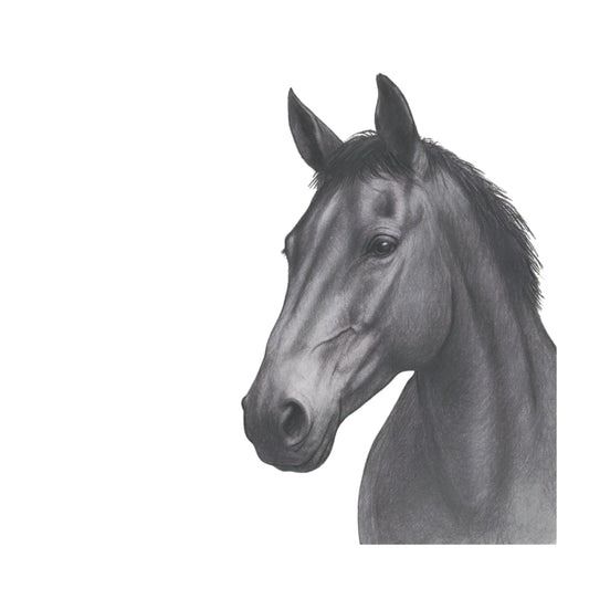 Rigel Kent Horse Hand Drawn Greeting Card — card front