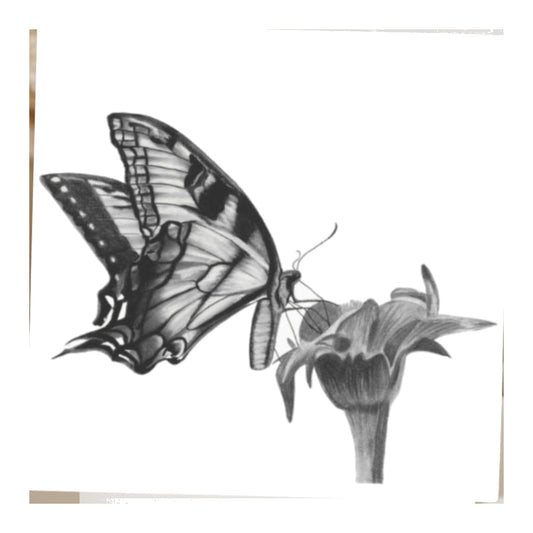 Hummingbird Flower Hand Drawn Greeting Card — card front