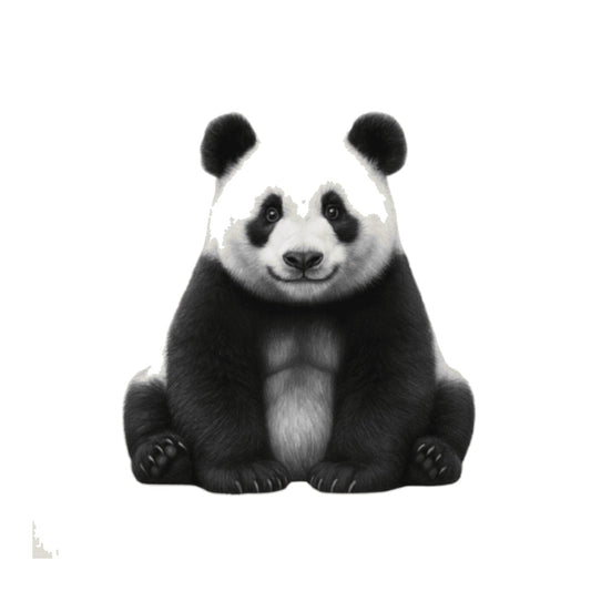Panda Hand Drawn Greeting Card — card front