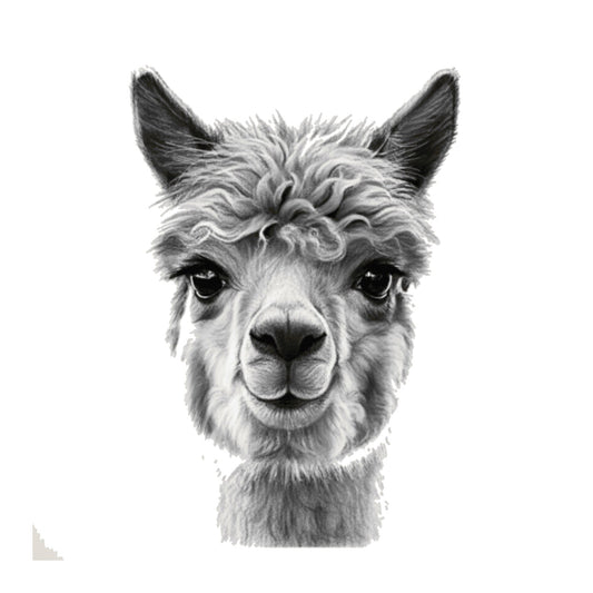 Llama Hand Drawn Greeting Card — card front