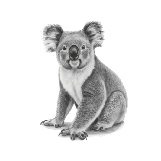 Pavo the Koala Hand Drawn Greeting Card — card front
