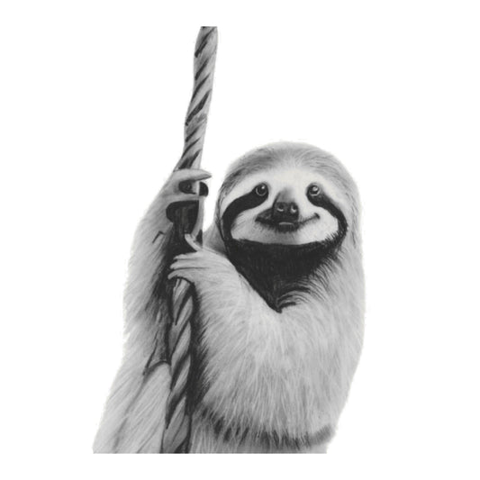 Sloth Hand Drawn Greeting Card — card front
