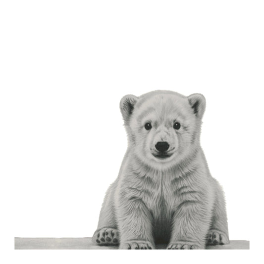 Polar Bear Hand Drawn Greeting Card — card front