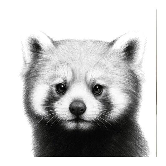 Red Panda Hand Drawn Greeting Card — card front