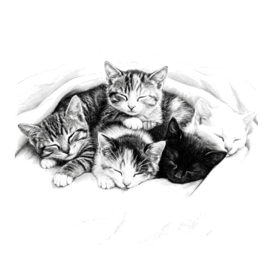 Sleeping Cats Hand Drawn Greeting Card — card front