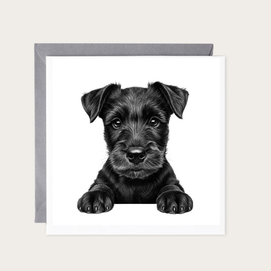 Peeking Scottish Terrier — card with grey envelope
