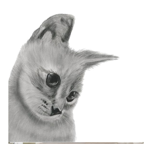 Orkaria the Cat – Hand-Drawn Greeting Card | Elegant & Charming Pet Art — card front