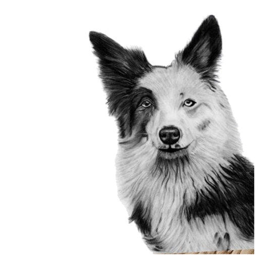 Willow the Sheepdog – Hand-Drawn Greeting Card | Gentle & Loyal Pet Art — card front