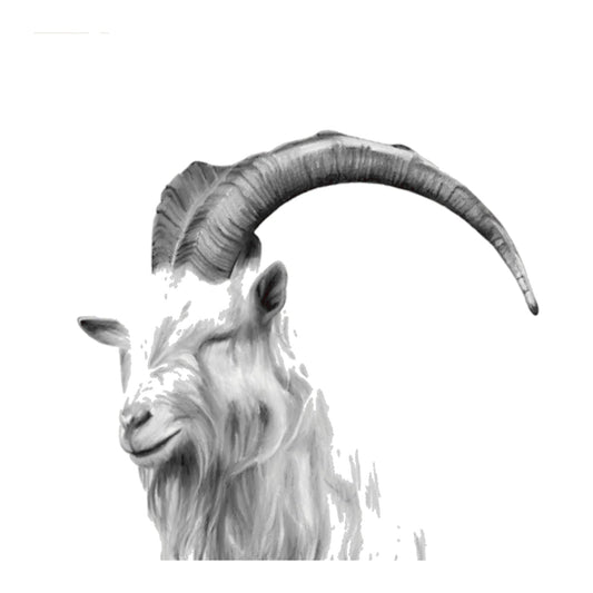 Arian the Great Orme Goat – Hand-Drawn Welsh  Wildlife Greeting Card — card front