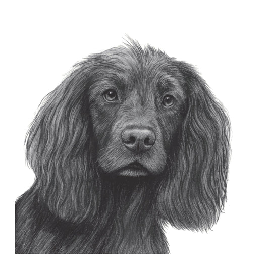 Virgo the Cocker Spaniel – Hand-Drawn Greeting Card | Charming Pet Art — card front