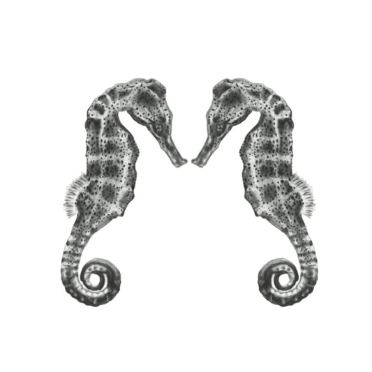 Seahorse Kisses – Two Seahorses Hand-Drawn Greeting Card | Whimsical & Elegant Art — card front