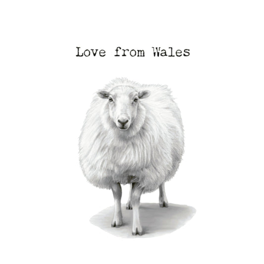 With Love From Wales – Sheep Greeting Card — card front