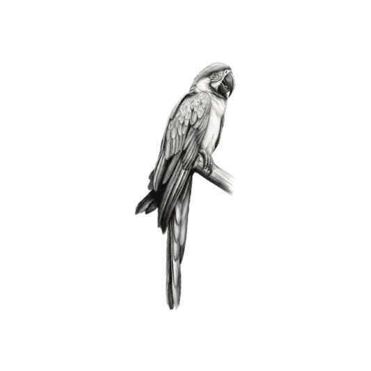 Parrot Greeting Card — card front