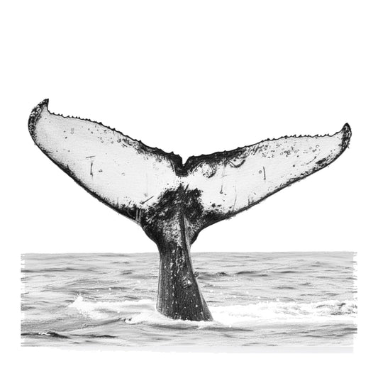 Whale Tail Sealife Greeting Card — card front